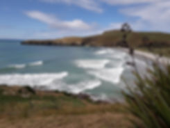 Penguin Place Beach.jpg