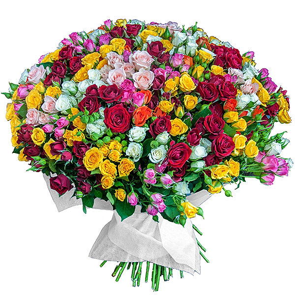 http://static.wixstatic.com/media/24601e_632e05db44534d0e82abbf416562c92a.jpg_srz_600_600_85_22_0.50_1.20_0.00_jpg_srz