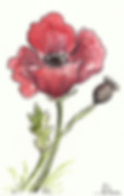 fiore.jpg