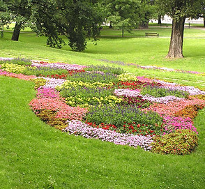 Flower Garden