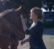 Natural Horsemanship and riding lessons just outside of beautiful Vancouver, British Columbia