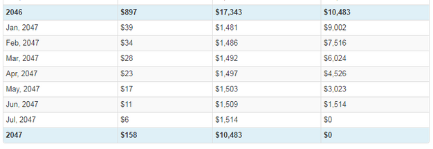 Final Amortization Year
