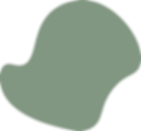 Green shape for web.png