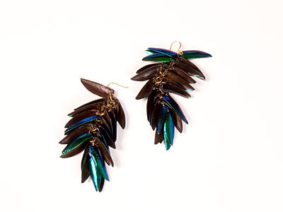 Tavia Sanza project image