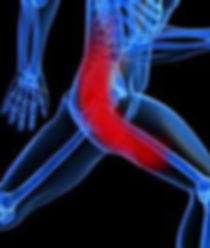 piriformis.jpg