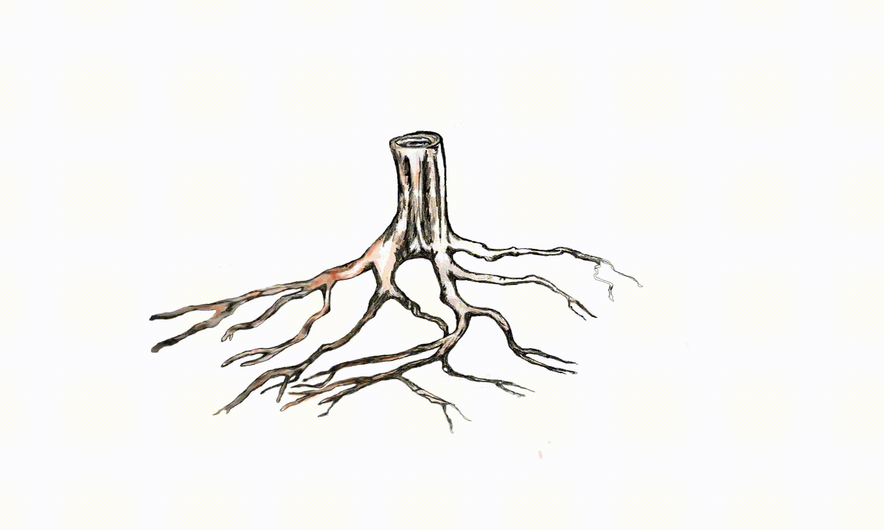 the-stump-spirt.gif