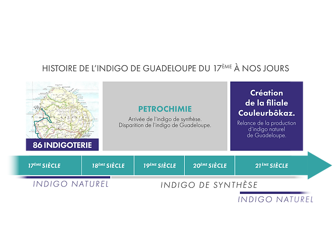 PHYTOWEB_histoire Indigo.png
