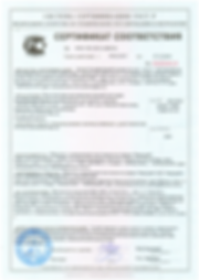 Сертификат Пилигрим.Детская.png