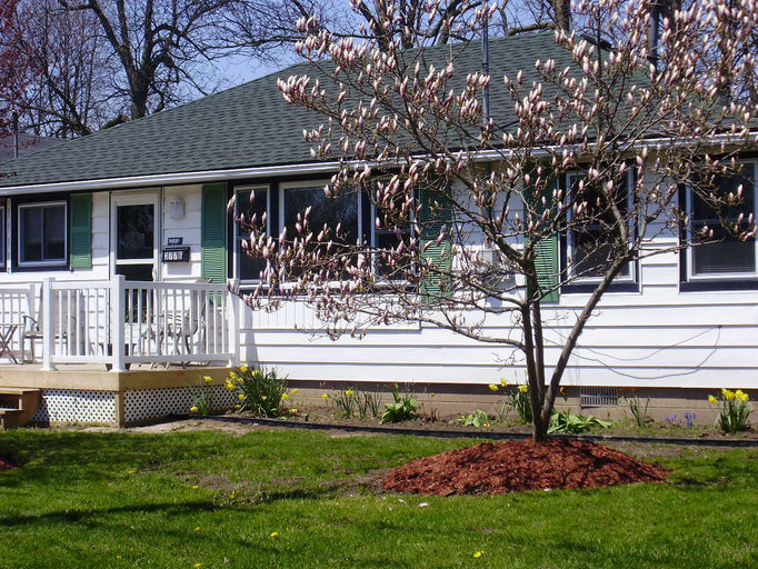 Vacation Rentals Crystal Beach Wix Com