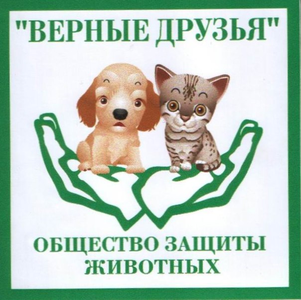 Пост Поздравление Директору Приюта Для Бездомных Животных