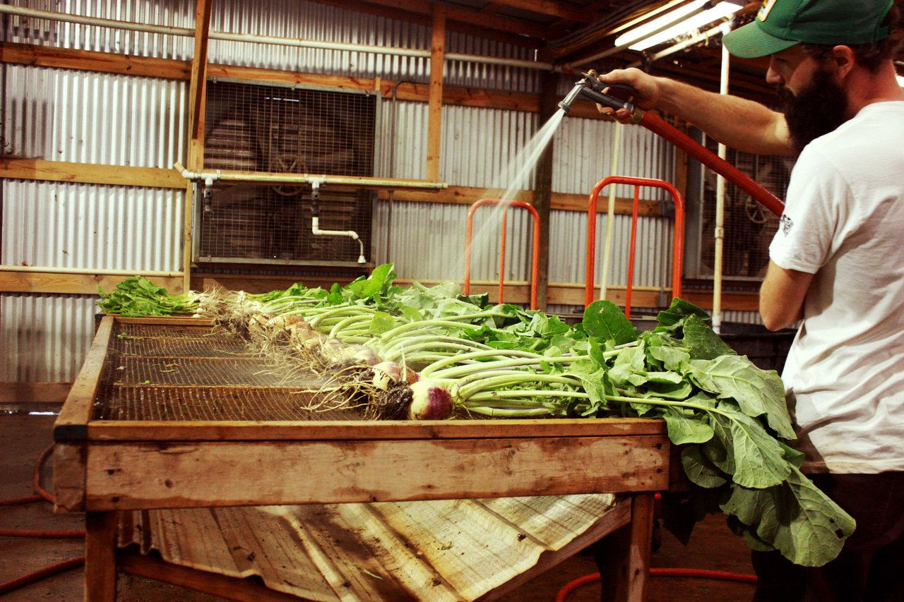 Johnsons Backyard Garden Wixcom