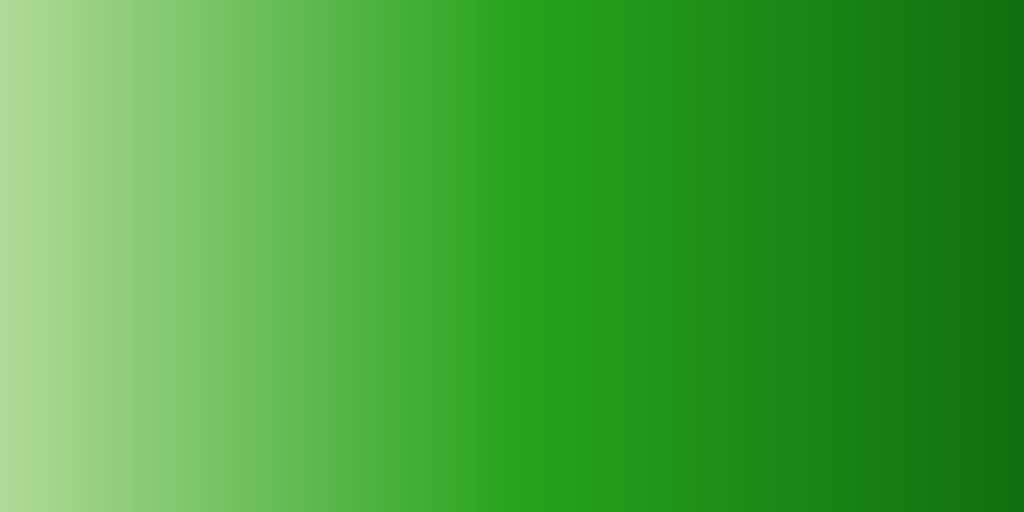 PROHALO web banner.png