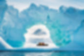 Antactica.jpg