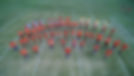 BandCampAerial02.jpeg