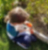 Garden001.jpg