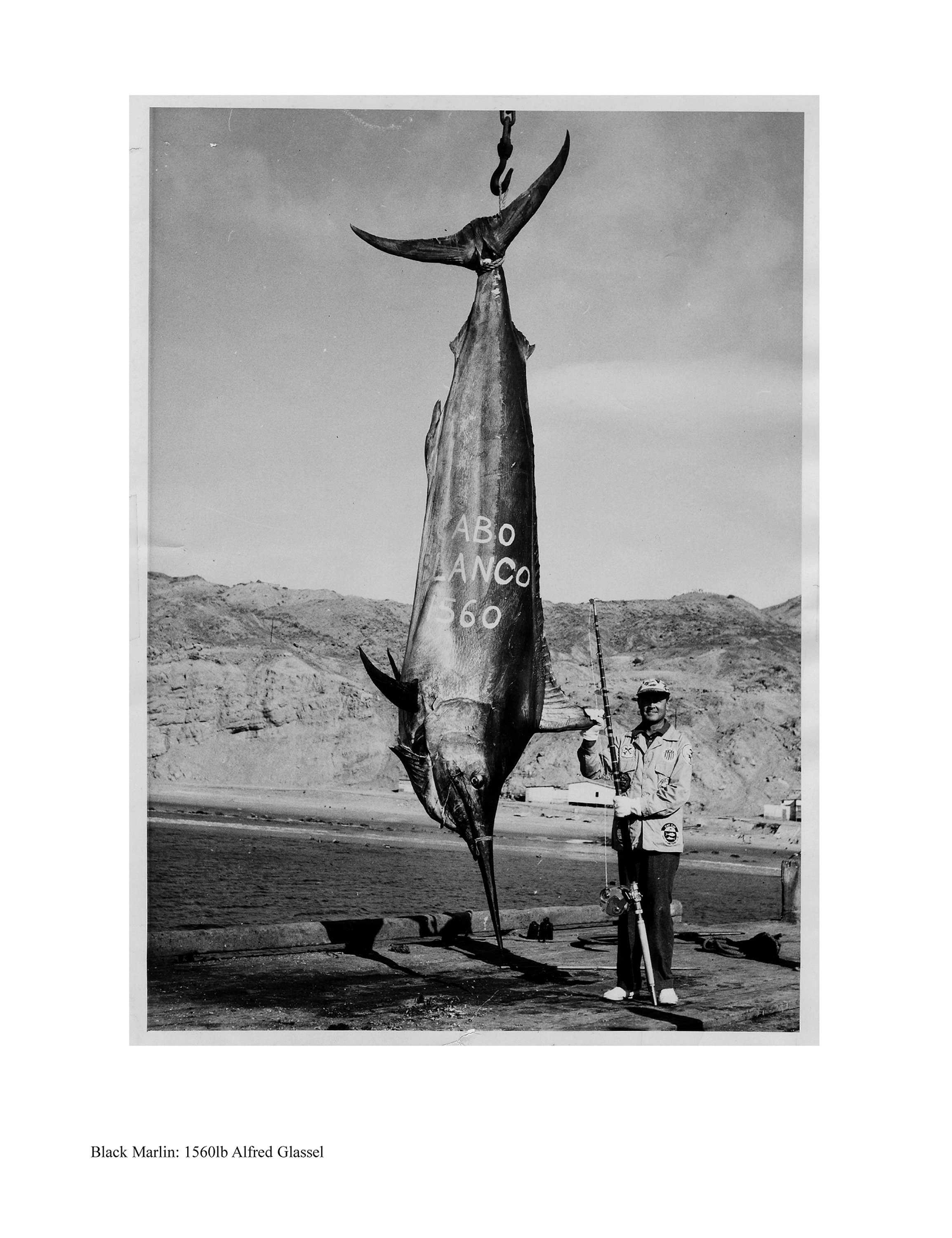 Image result for glassell world record marlin