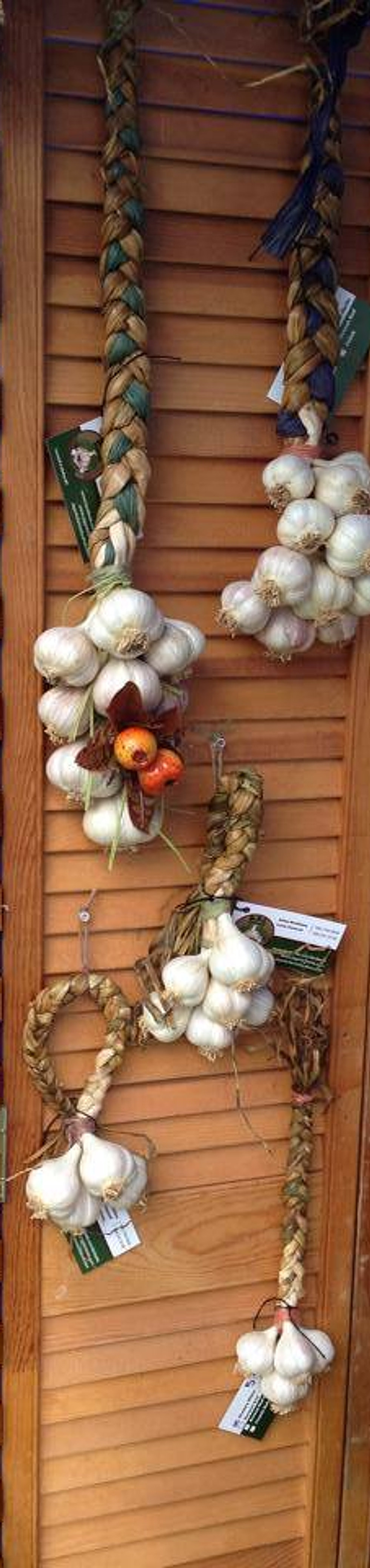 Garlic Festival Gallery Location Holley l Garlic Farm