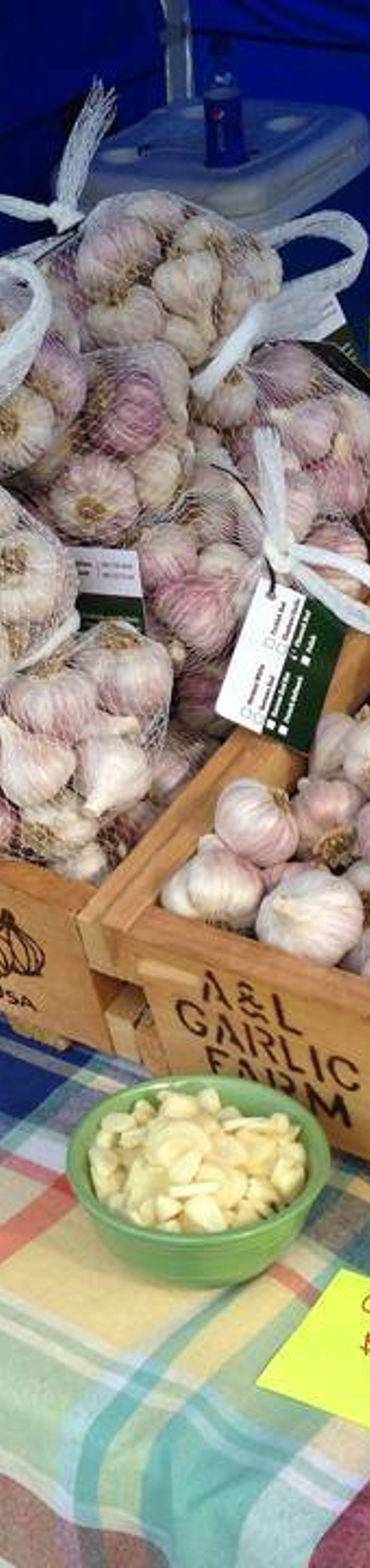 Garlic Festival Gallery Location Holley l Garlic Farm