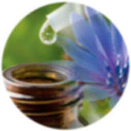 Laboratorio-floriterapia.jpg