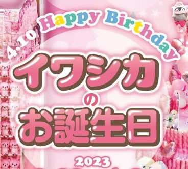 4/9(日) 4月10日はイワシカのお誕生日