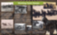 Horses-board.jpg