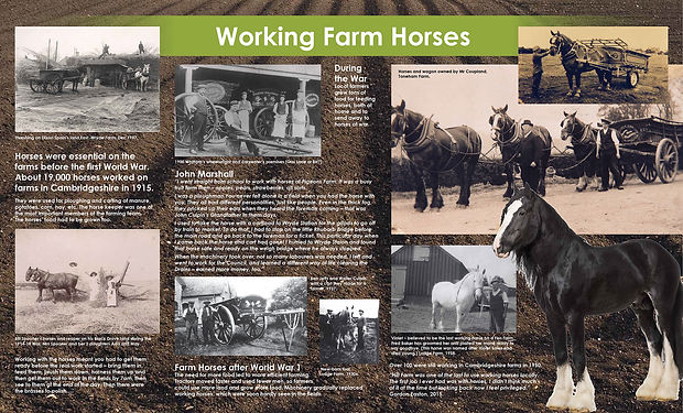 Horses-board.jpg