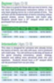 Screen Shot 2020-04-02 at 12.50.39 PM.pn