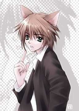 Wix Com Nekolovers Created By Cinnabuns192 Based On