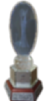 NAWEM Women Entrepreneurs Award 2006.png