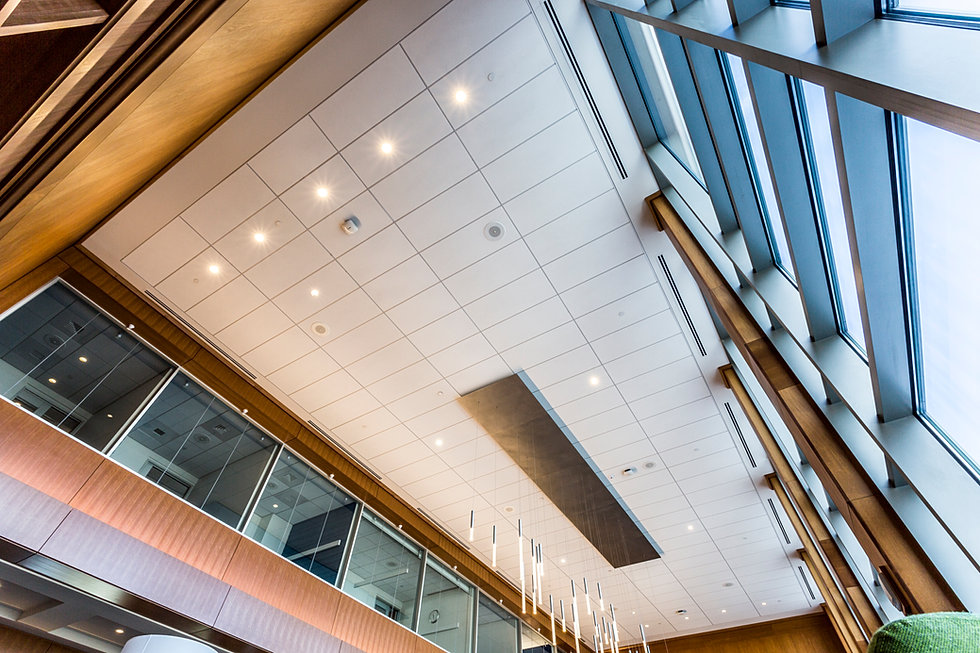 28 Acoustic Ceiling Contractors Suspended Ceilings