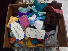 Teddybear Washcloths delivery to Shelter
