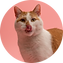 Ellipse 38.png