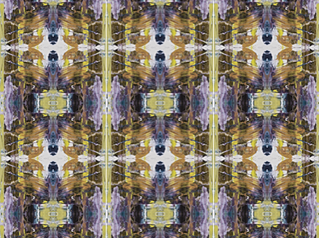 1114 Radiant Orchid