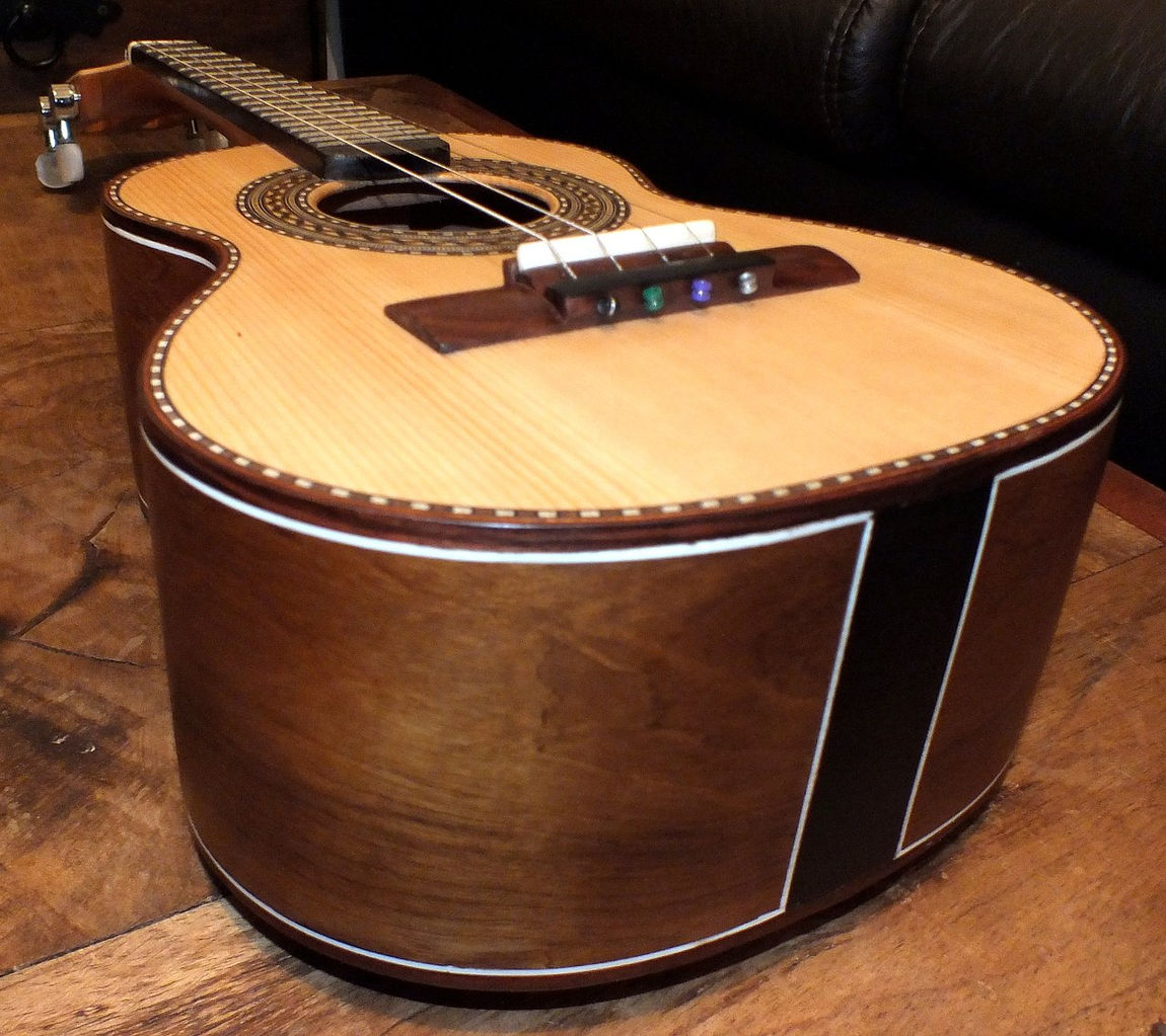 Imbúia do Chile - Caixa de 9cm