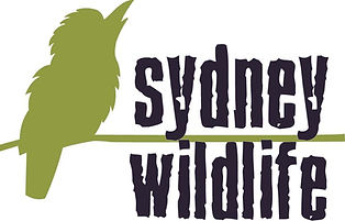 Sydney Wildlife Logo.jpg.opt937x601o0,0s937x601 (1).jpg