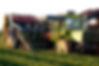 Lamattina Farms
