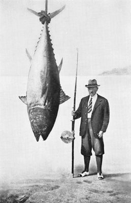 Lorenzo Mitchell-Henry Tunny Fish