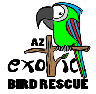 az exotic bird rescue tempe az az exotic bird rescue tempe az