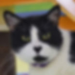 Reggie2.jpeg