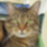 Eddie-2019.jpeg