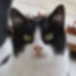 Woody.jpeg