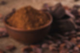 Raw Cocoa Beans.jpg