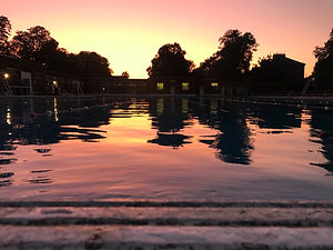 HOME | Brockwell Lido Users