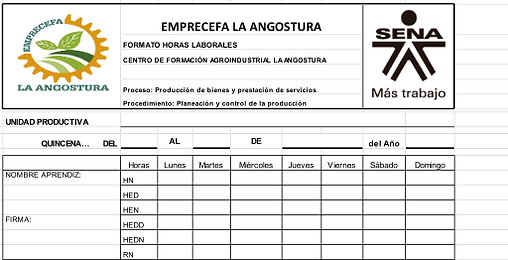 formato control de horas trabajadas