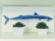 WhatsApp Image 2019-04-25 at 19.58.03.jp