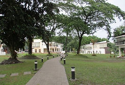 image54.jpg