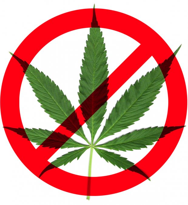 Image result for non- marijuana