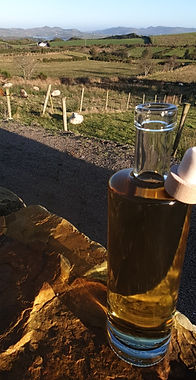 IMG-20191231-WA0006_edited_edited.jpg