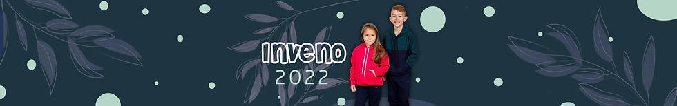 BANNER MENYNNA.png