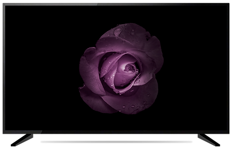 tb01.png